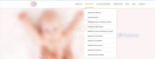 An SEO Strategy for a Fertility Clinic from Scratch2