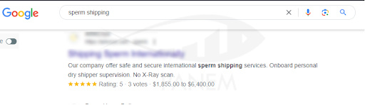 SEO Strategy for Сryogenic Shipping Services1