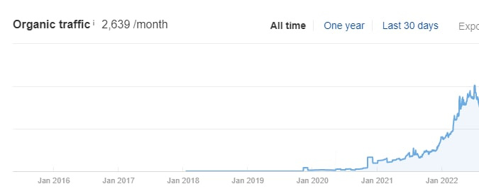 Geniusee: Content Marketing SEO for an IT Company2