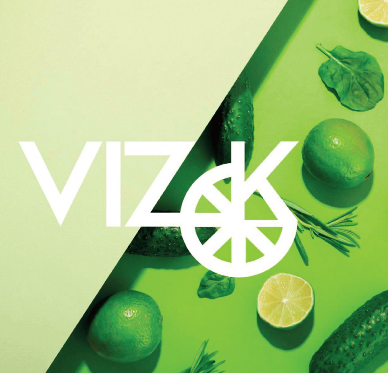 VIZOK - ONLINE STORE2