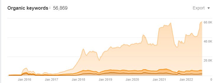 SEO for a startup - NewoldStamp case3