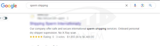 SEO Strategy for Сryogenic Shipping Services1