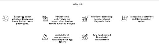 Contextual advertising for the B2B segment: the specifics of the niche and features of the setting5
