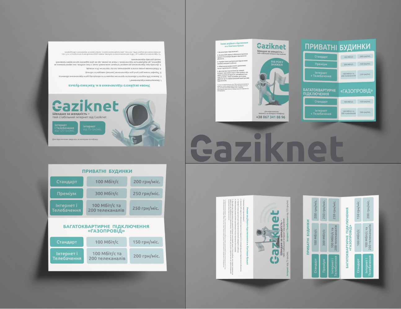 Booklets, Catalogs, and Print Media1