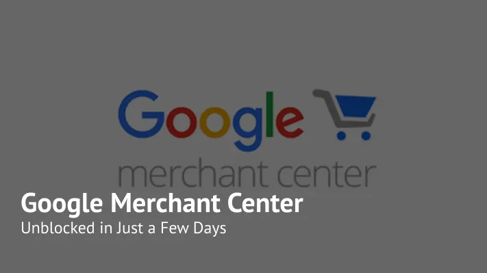 Google Merchant Center Unlock After “Misrepresentation” Suspension