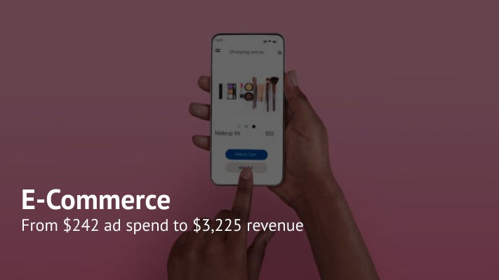 Promotion of an Online Cosmetics Store: +1307% ROAS with Demand Gen
