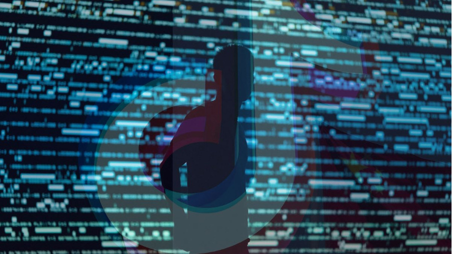 TikTok: A Modern Social Media Phenomenon – 4