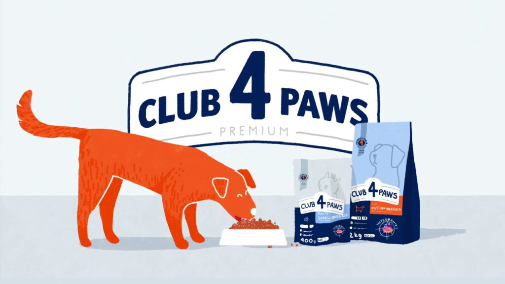Google Ads as a Brand Awareness Tool — Club4Paws Case Study1