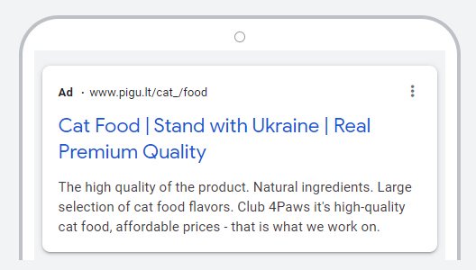 Google Ads as a Brand Awareness Tool — Club4Paws Case Study2