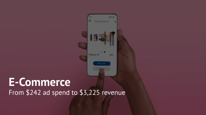 Promotion of an Online Cosmetics Store: +1307% ROAS with Demand Gen