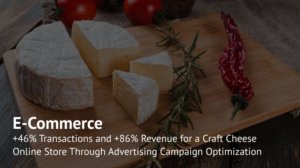 How Google Merchant Center Feed Optimization Helped Bring the Transaction Cost Down By Three Times